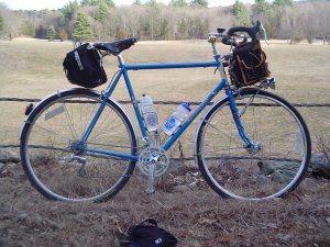 Rambouillet out for a ride