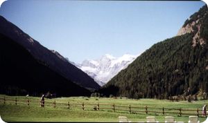 Meadows in Cogne