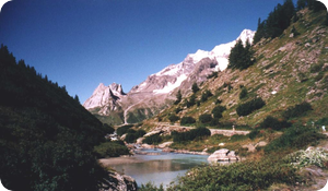 Doire du Val Veny