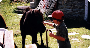 Jonathan and Pony