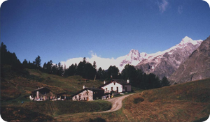 Maison Vialle